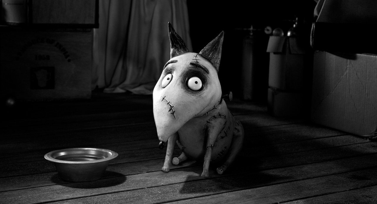 Frankenweenie: recensione