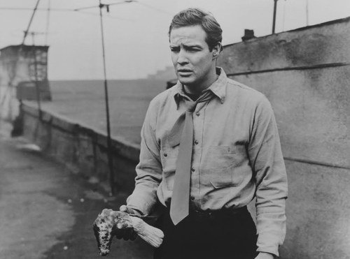 Marlon brando