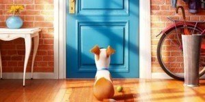 Pets – Vita da animali: primo trailer e poster ufficiale