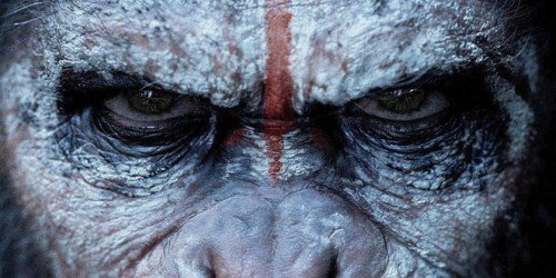 War for the Planet of the Apes – Matt Reeves su Twitter: ‘riprese iniziate’