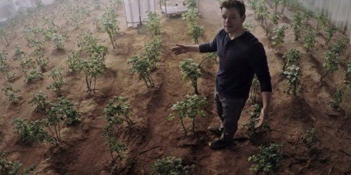 The Martian: quando la patata ti salva la vita