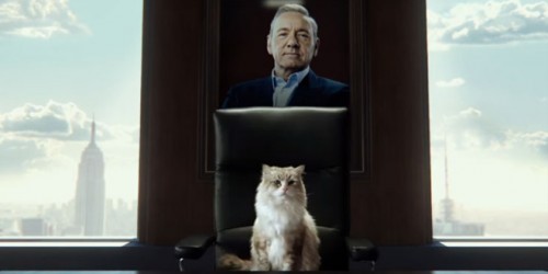 Nine Lives: Kevin Spacey intrappolato nel corpo di un gatto