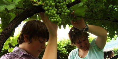 Il Colore dell’Erba: il primo film per non vedenti