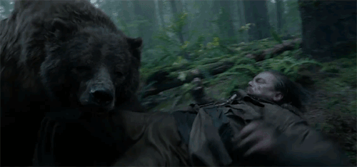 Leonardo Di Caprio lotta orso The Revenant