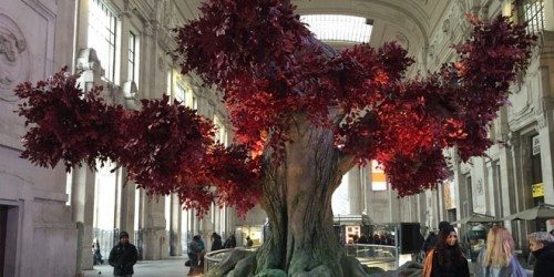 Shannara: l’albero a Milano per la presentazione di Sky Atlantic