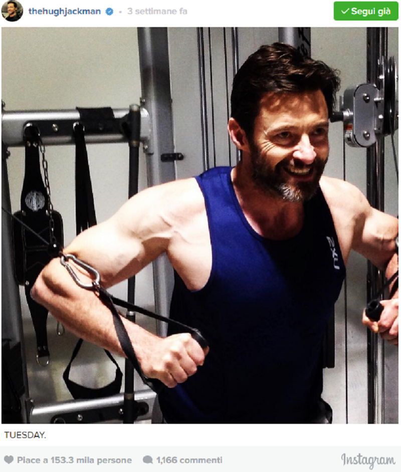 Wolverine