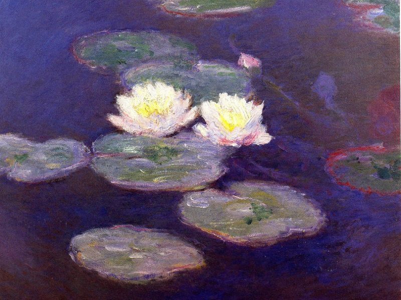 Risultati immagini per MONET IL GIARDINO