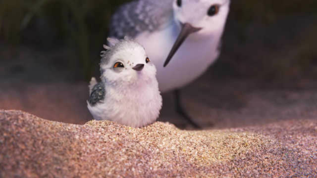 Piper: ecco il nuovo cortometraggio animato della Pixar