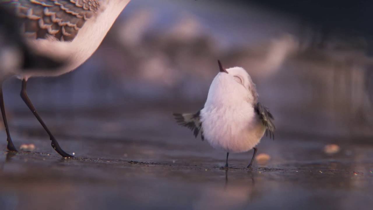 Piper – primo sguardo al nuovo corto Disney Pixar