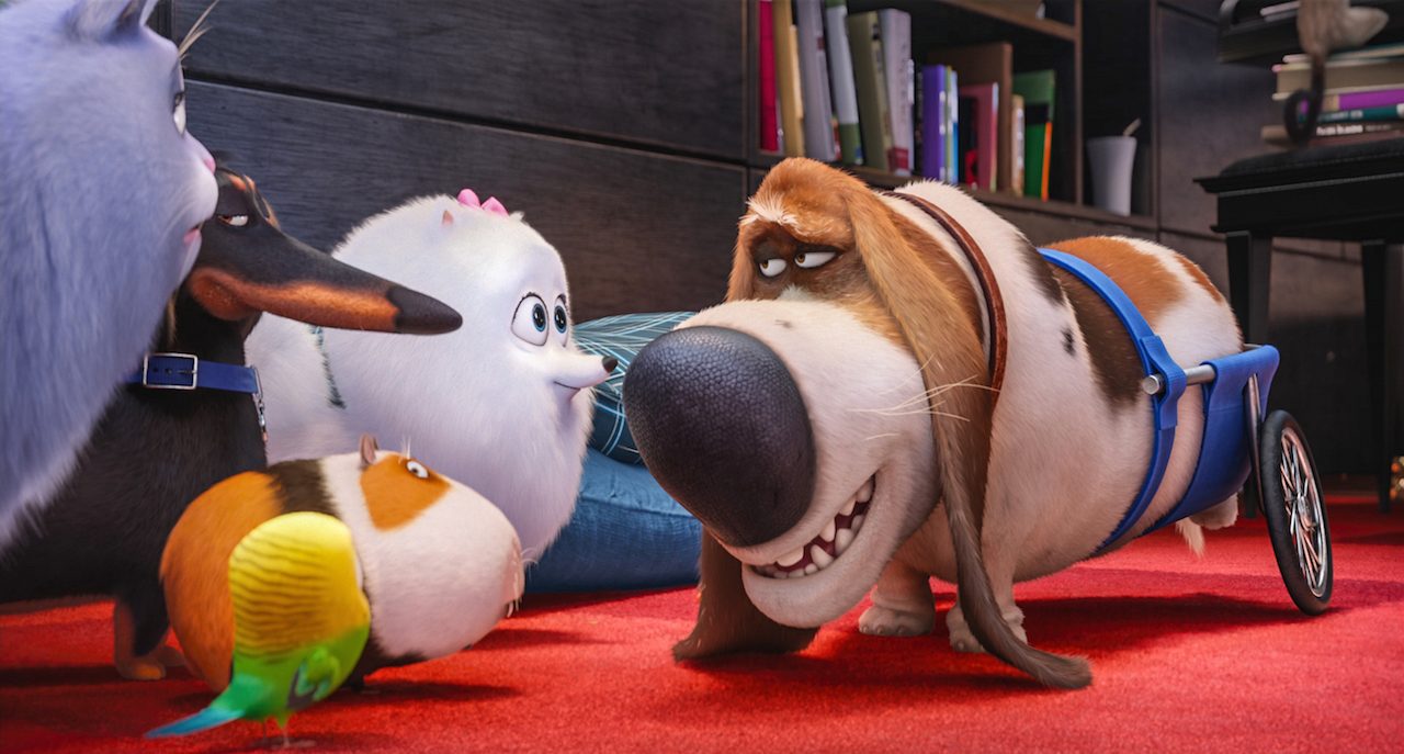 Pets – Vita da animali: rivelate nuove foto del film d’animazione