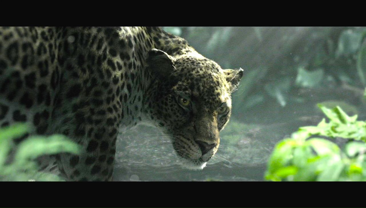 The Legend of Tarzan: Alexander Skarsgård rivela la sua natura nelle nuove clip