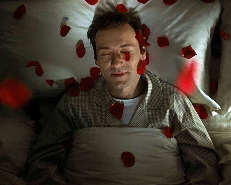 American Beauty Cinematographe