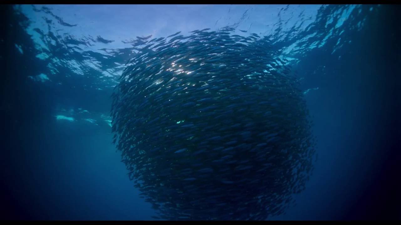 Voyage of Time cinematographe.it