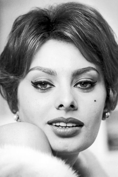 Sophia Loren