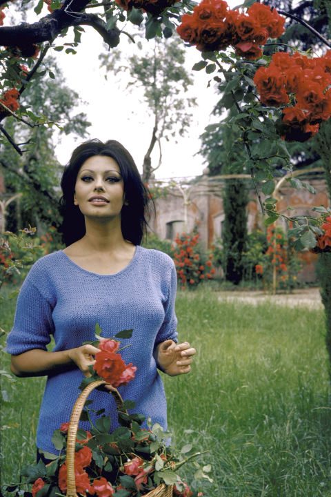 Sophia Loren