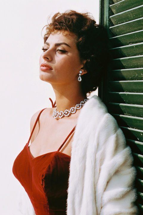 Sophia Loren