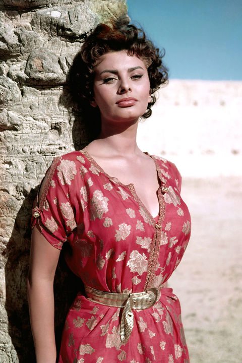 Sophia Loren