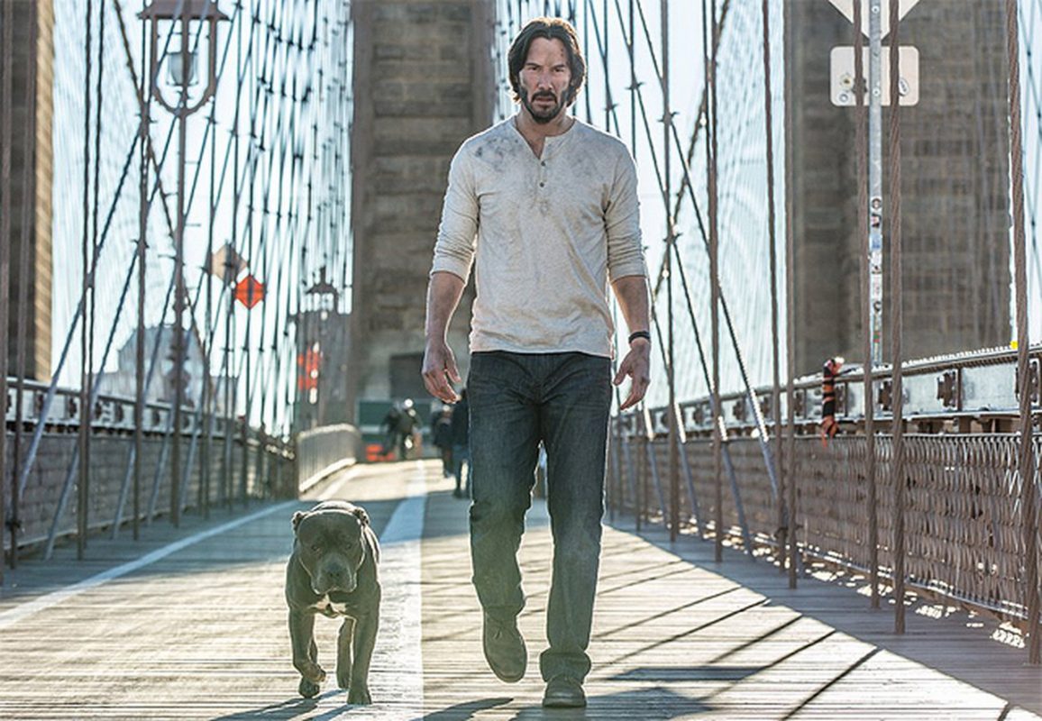 John Wick 2 – il cucciolo di pitbull del primo film è ancora vivo [FOTO]