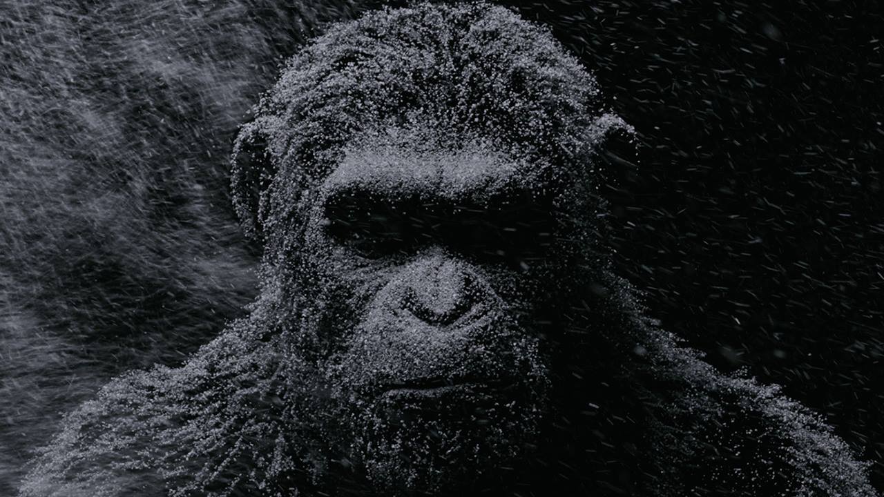 War For The Planet Of The Apes: Cesare è tornato nel primo teaser trailer da Times Square