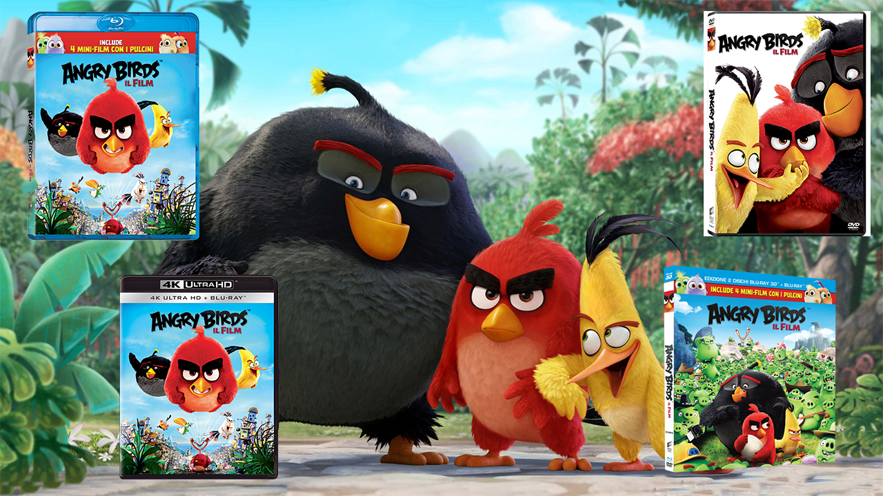 Angry Birds – Il film: dal 12 ottobre arriva in Home Video la nuova simpatica avventura