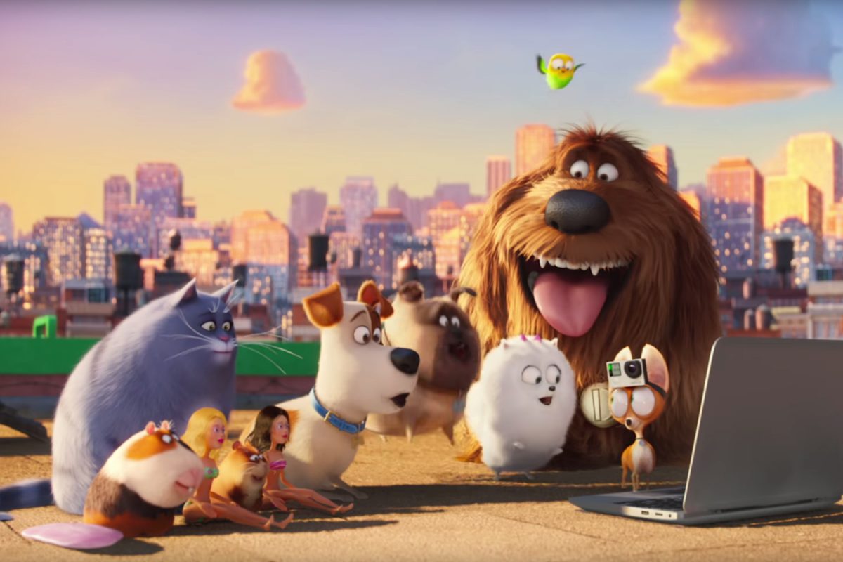 pets - vita da animali I 10 migliori cartoni animati del 2016 - Film al cinema Pets