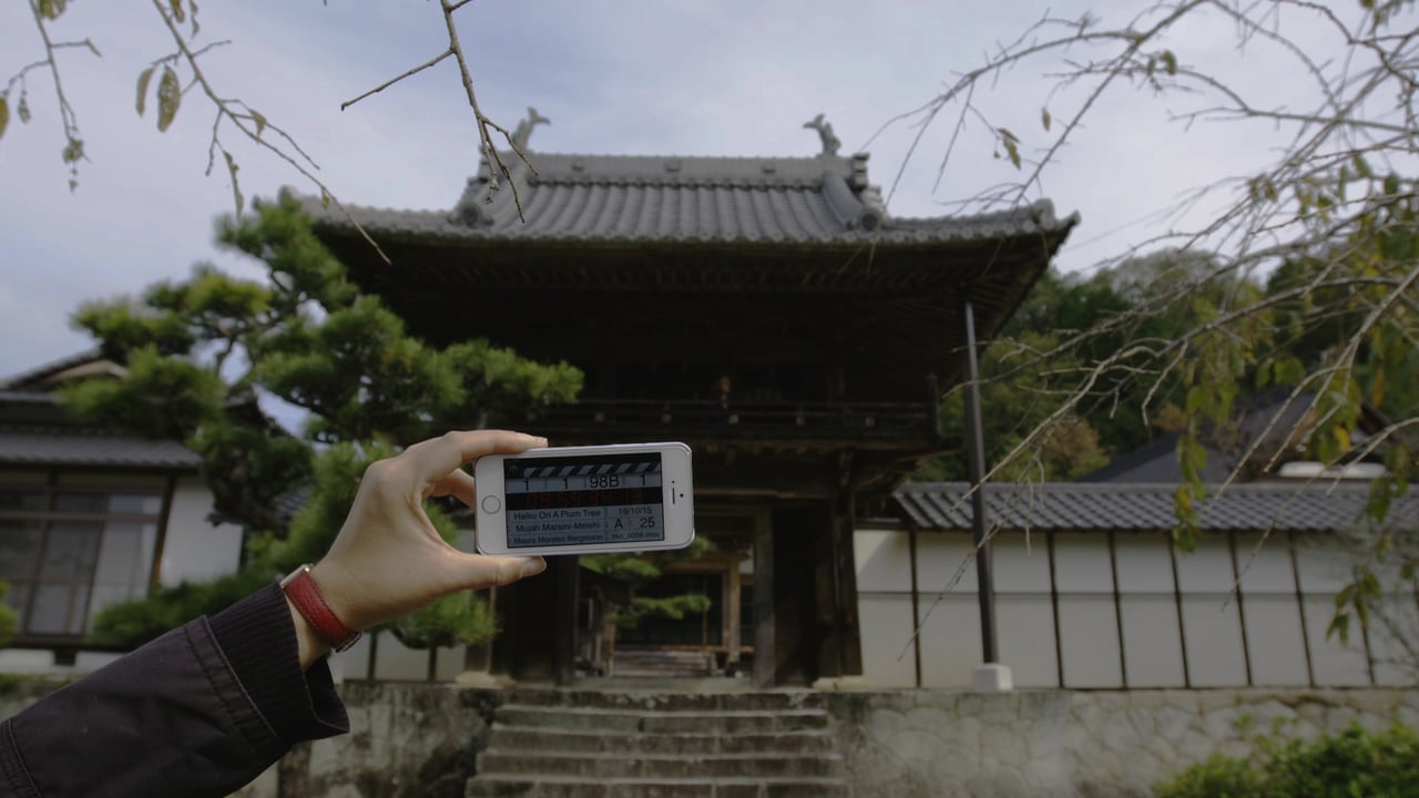 Roma FF11 – Haiku on a Plum Tree: recensione