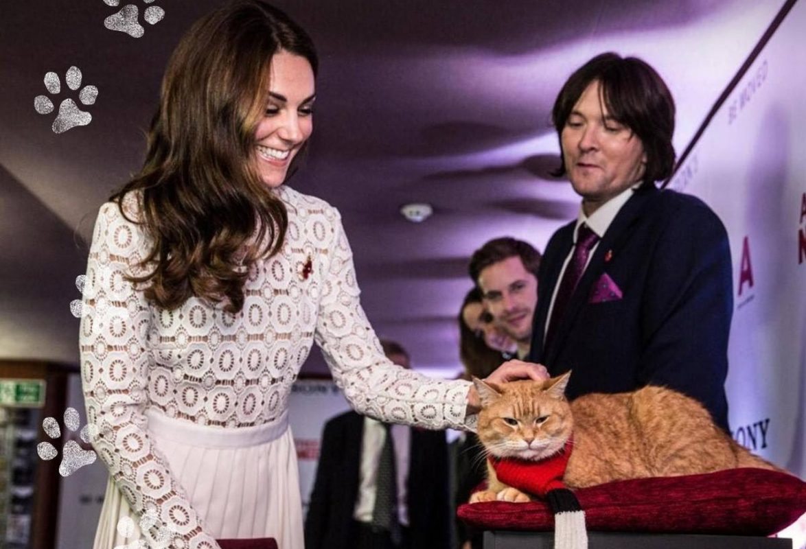 A spasso con Bob: ecco chi è il gatto rosso che ha incantato Kate Middleton