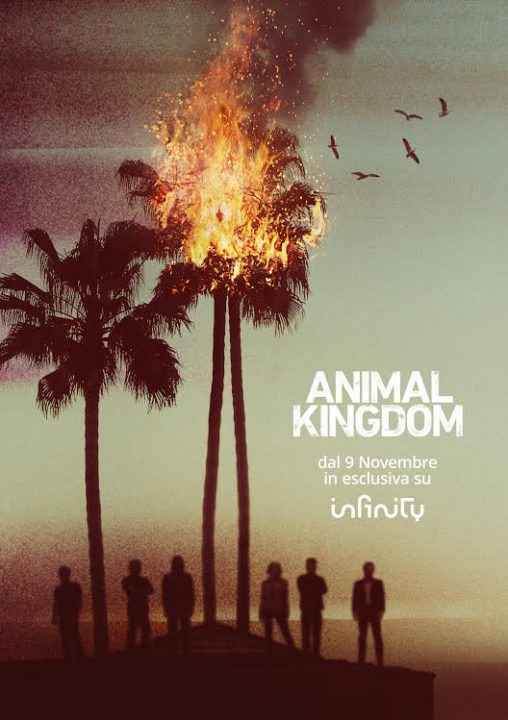 Animal Kingdom: il trailer della serie in anteprima esclusiva su Infinity dal 9 novembre