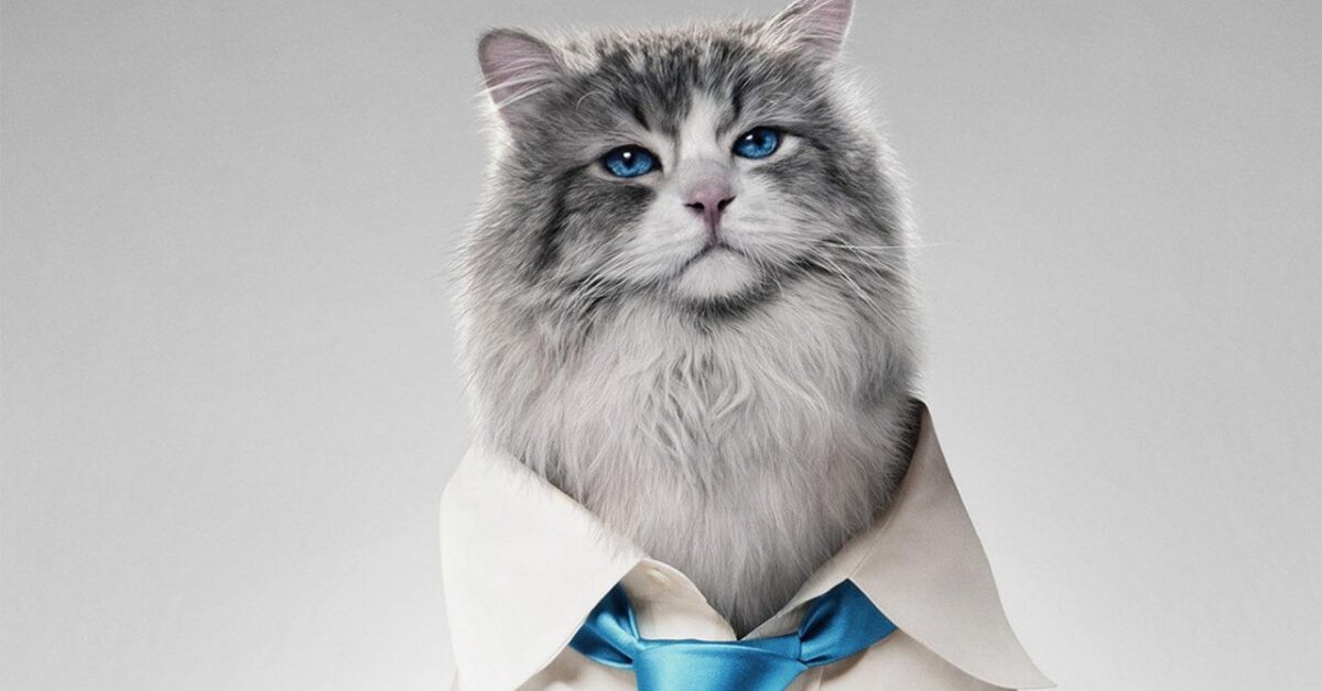 Una vita da gatto nuova clip del film, da oggi al cinema