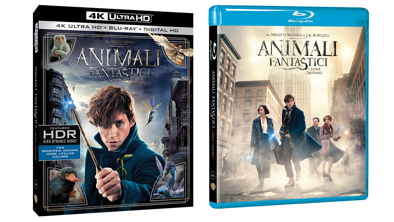 Animali Fantastici e Dove Trovarli: annunciata la data d’uscita del Blu-Ray