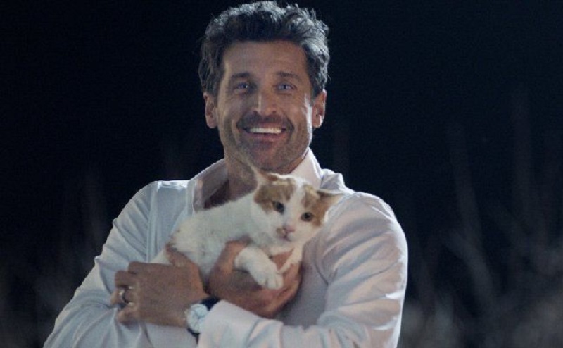 Patrick Dempsey