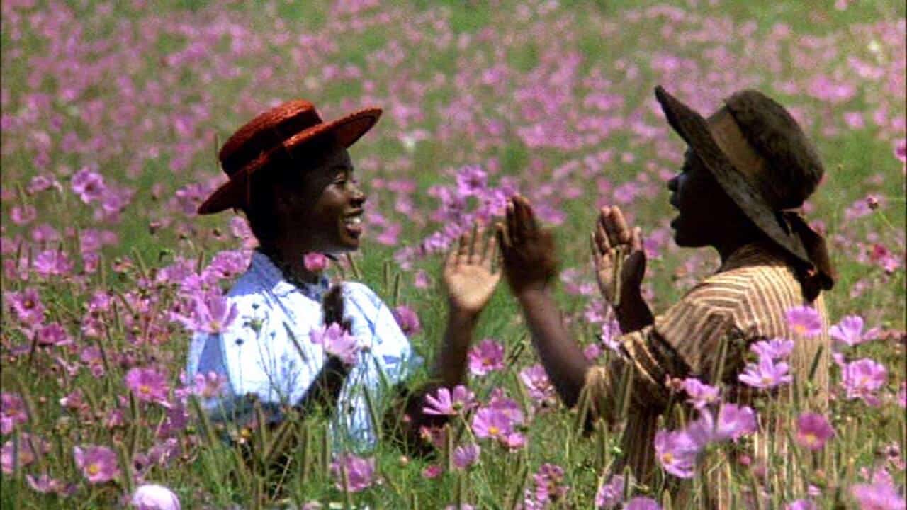 Il colore viola: significato del film di Steven Spielberg con Whoopi Goldberg