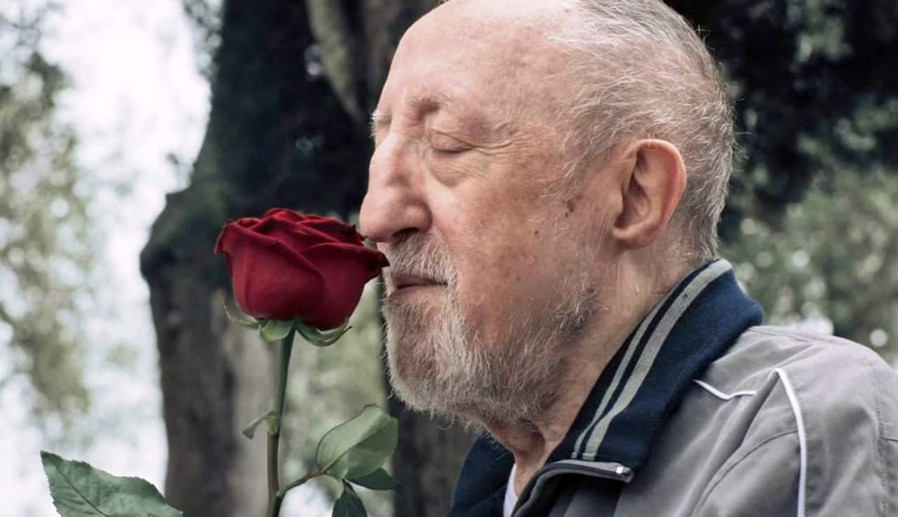 Chi salverà le rose?: recensione dell’opera prima di Cesare Furesi