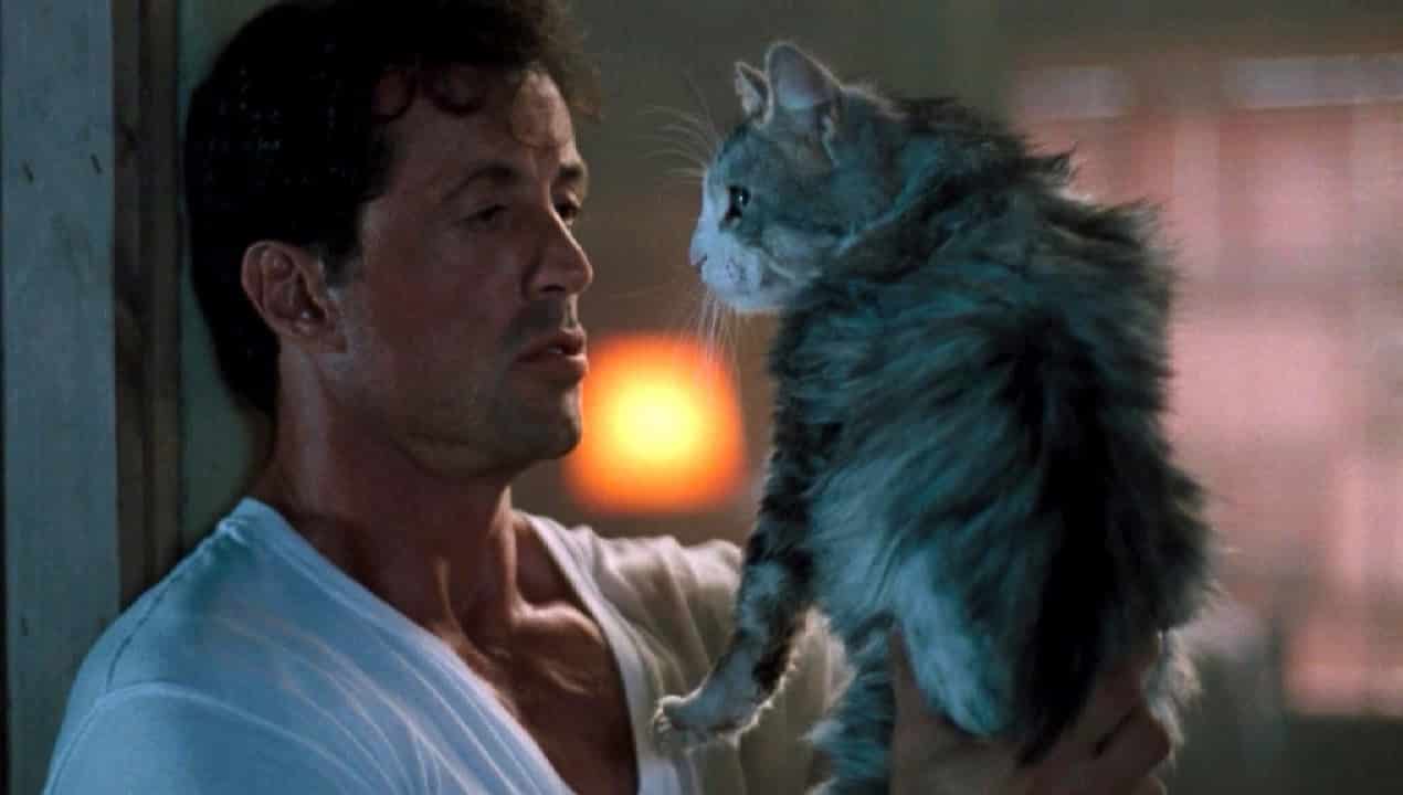 Lo specialista: scene d’amore del film con Sylvester Stallone e Sharon Stone