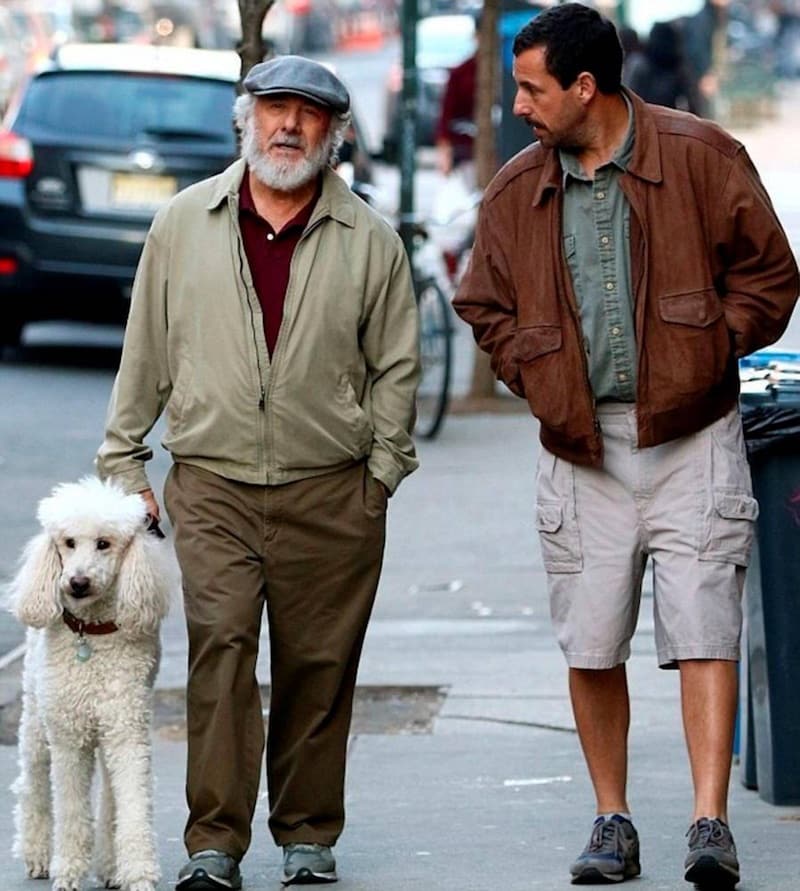 The Meyerowitz Stories