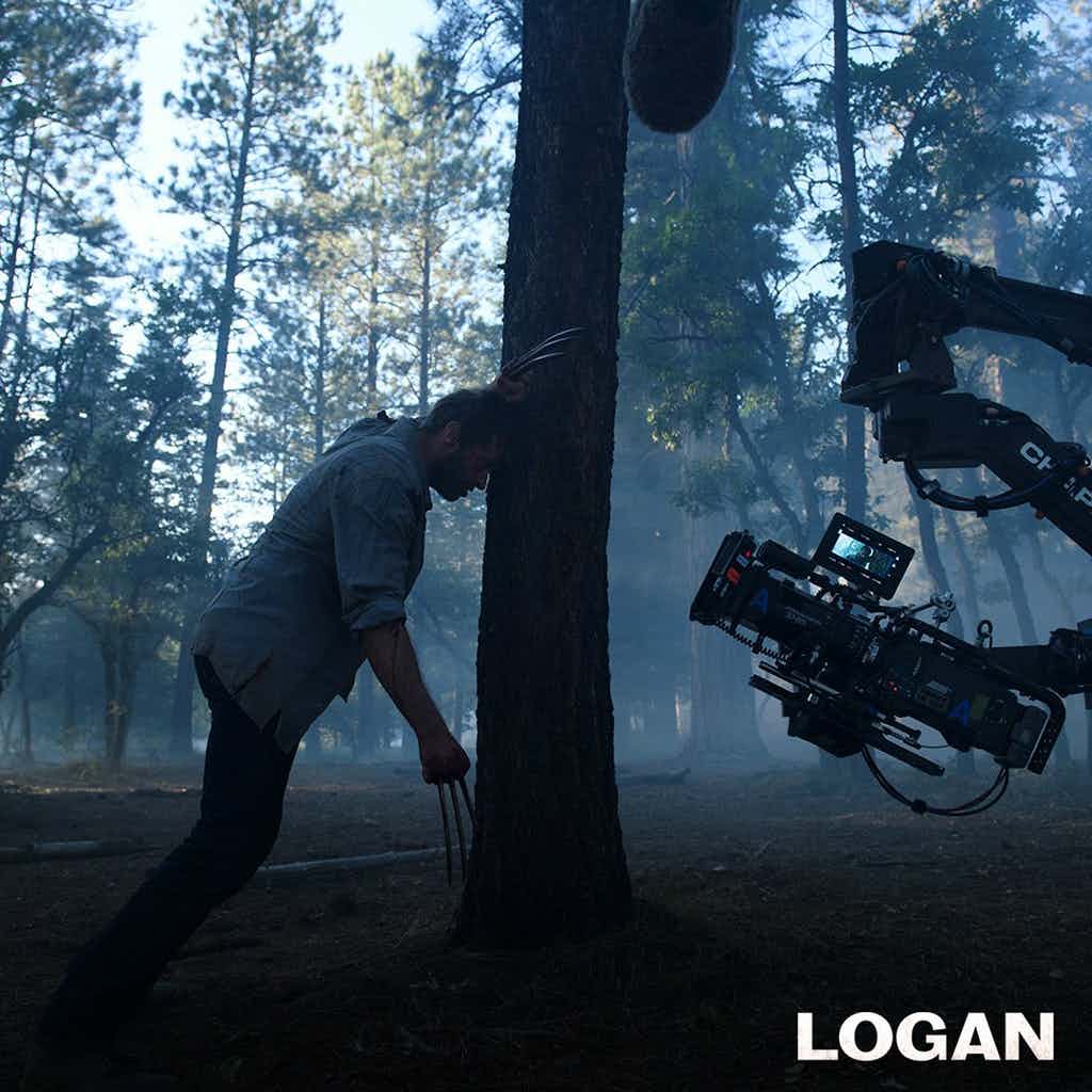 logan foto set 11