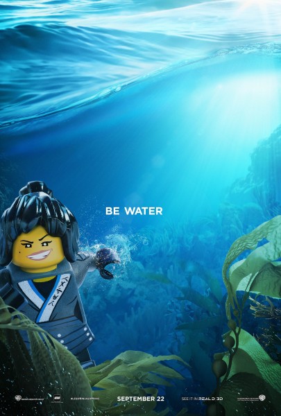 lego ninjago character poster 8