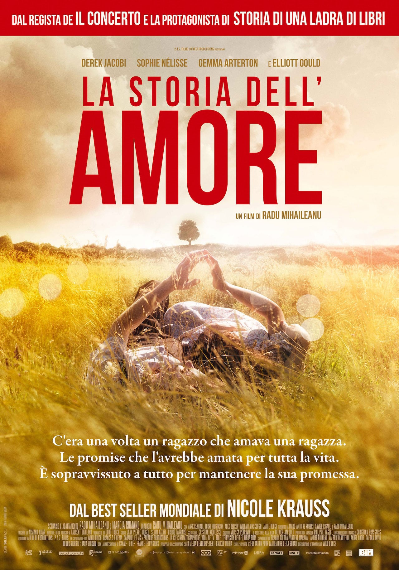 la storia dell'amore