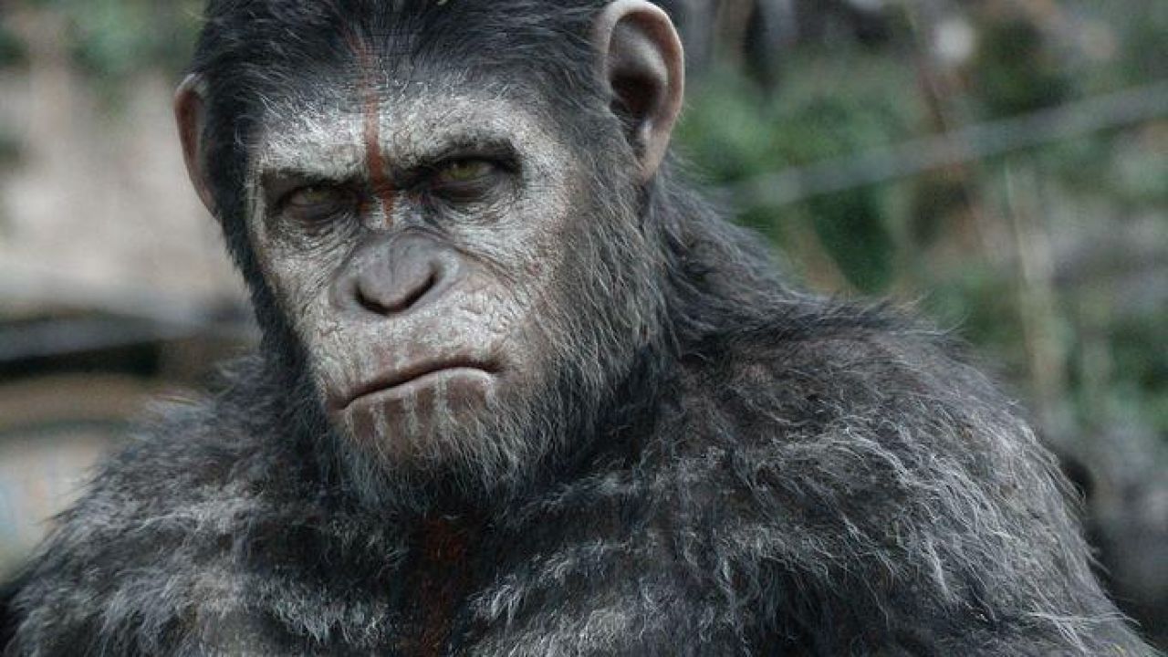 Il Pianeta delle Scimmie e Legion tra le novità Home Video di 20th Century Fox