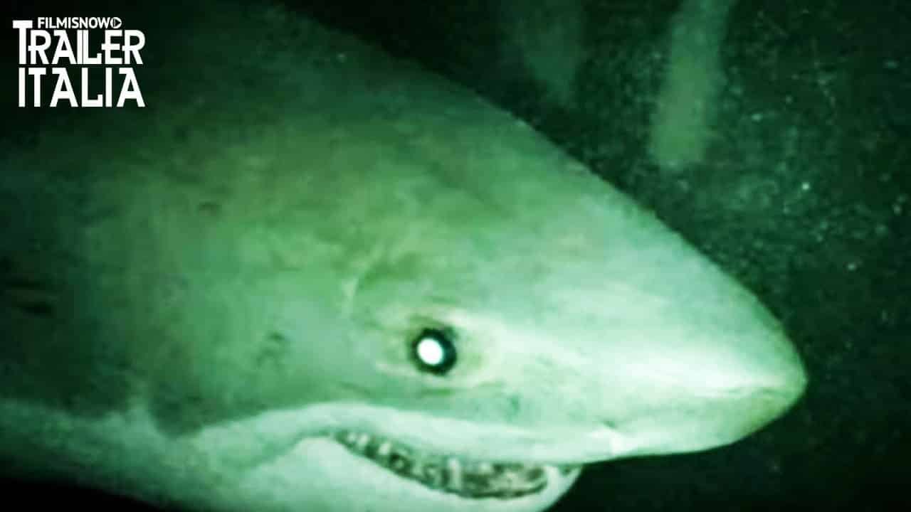 Open Water 3 – Cage Dive: nel trailer italiano gli squali sono affamati
