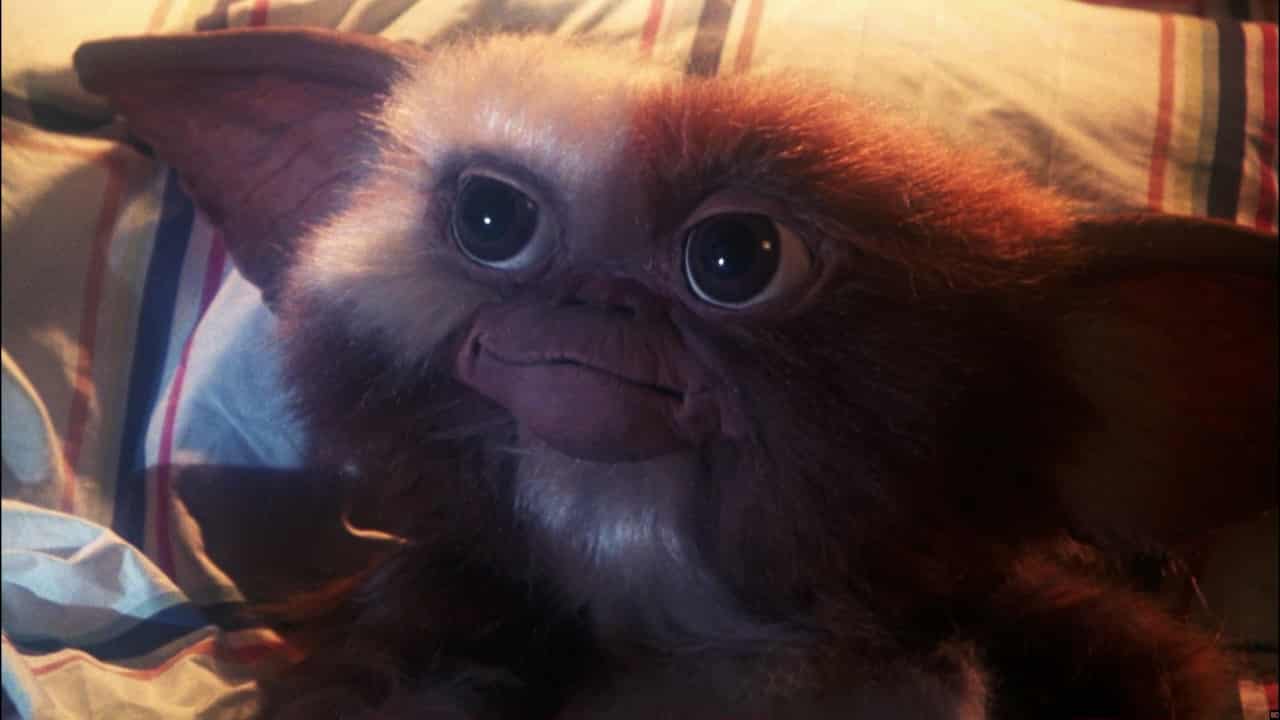 Gremlins 3: lo script di Chris Columbus aleggia intorno alla morte di Gizmo