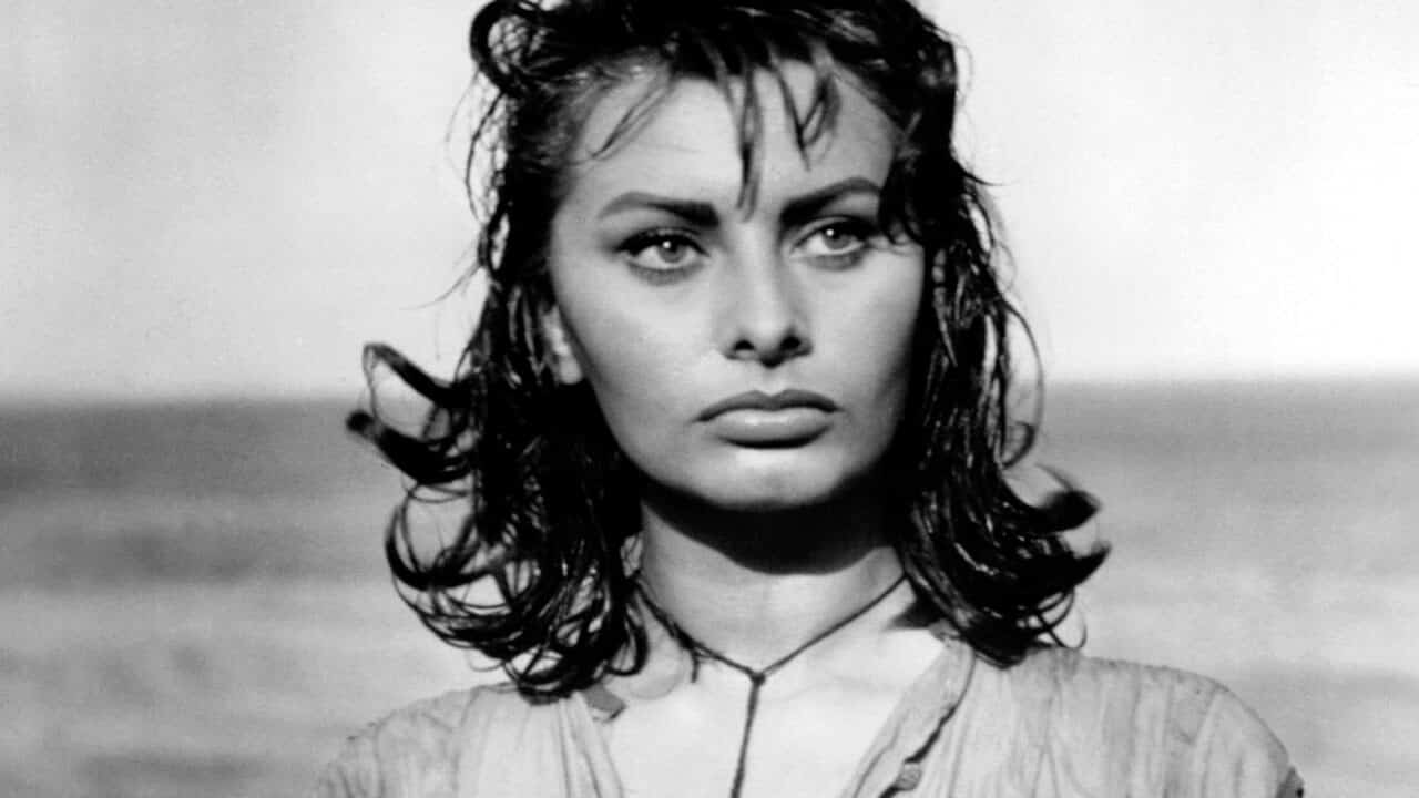 Sophia Loren 