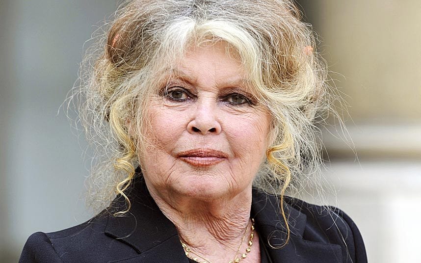 brigitte bardot oggi