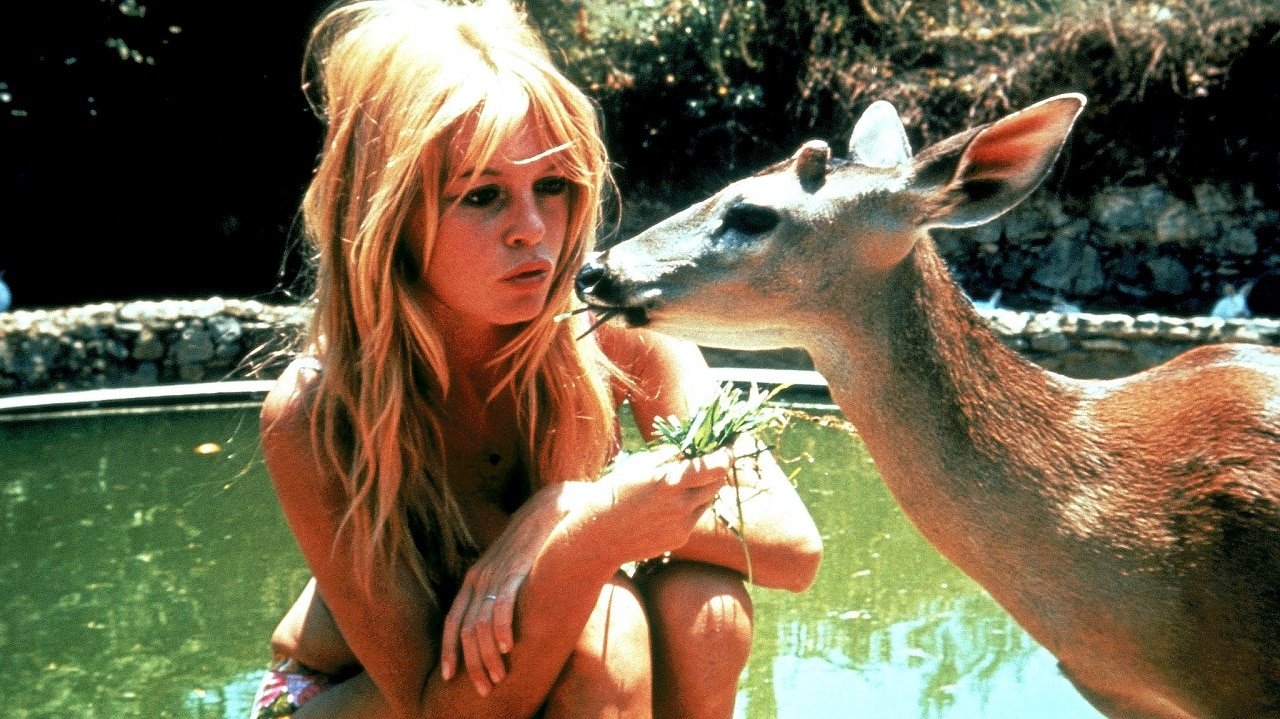 brigitte bardot