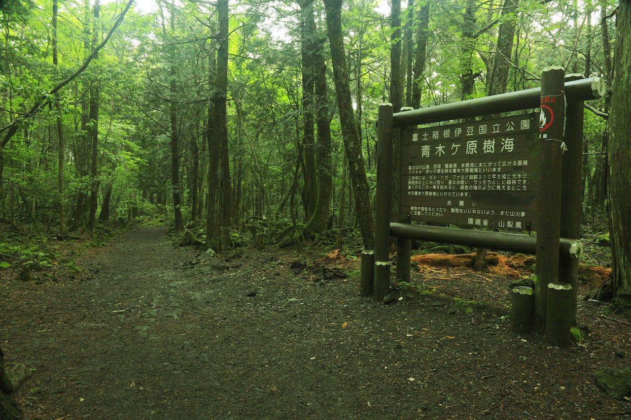 jukai la foresta dei suicidi