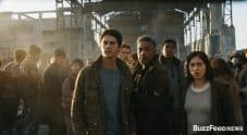 maze runner - la rivelazione foto 1