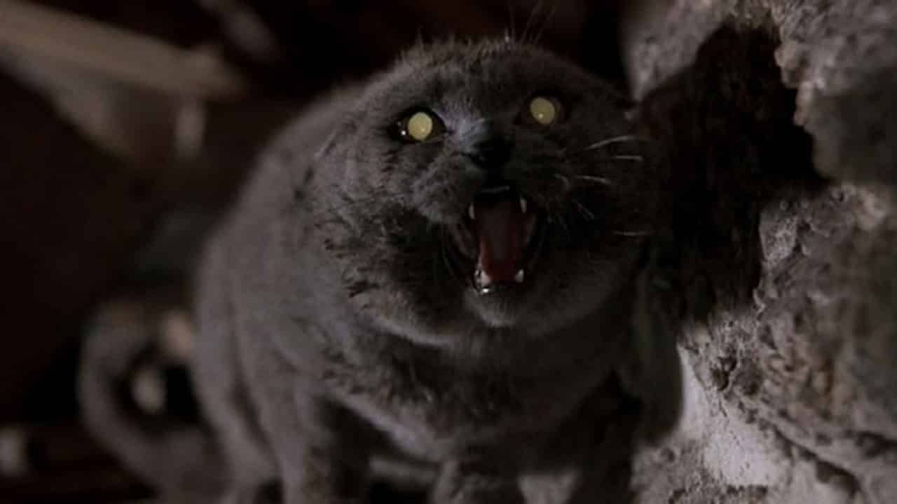 Cimitero vivente: Paramount trova i registi per il film tratto dal libro di Stephen King