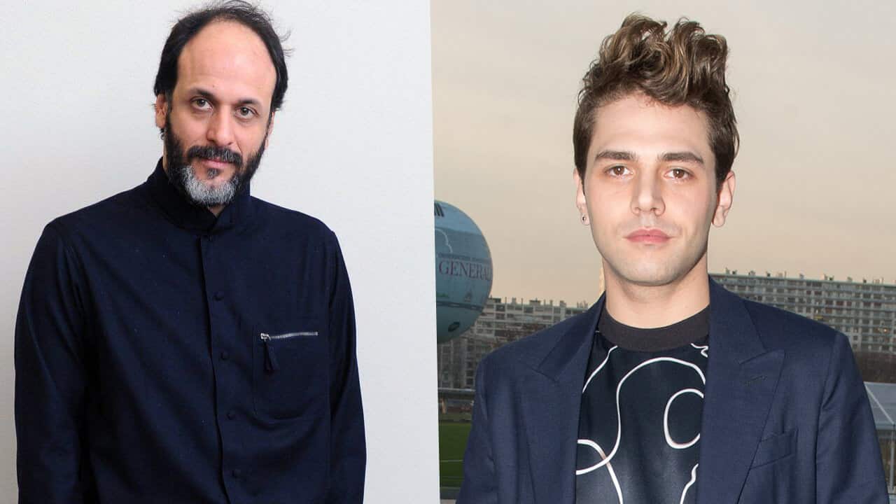 Luca Guadagnino ha delle riserve su Xavier Dolan