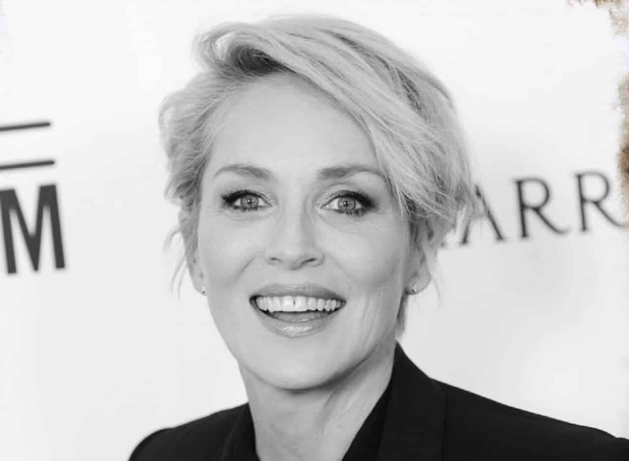 Sunny: Sharon Stone protagonista del comedy-thriller sulla malavita