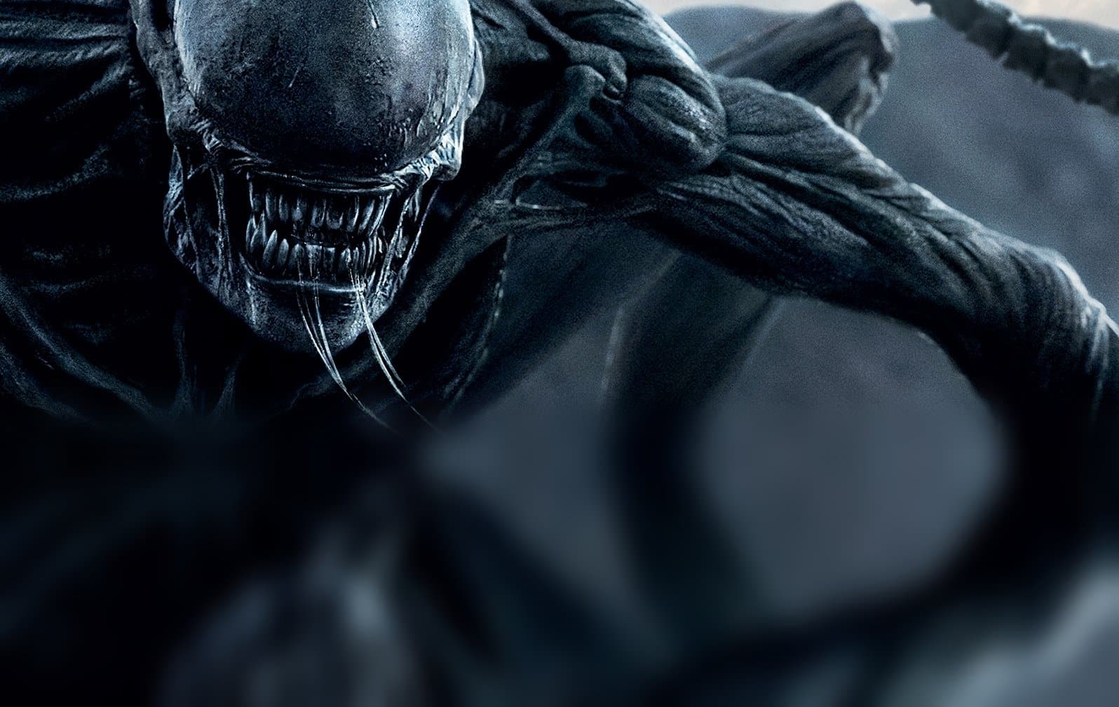 Ridley Scott Alien: Covenant Cinematographe